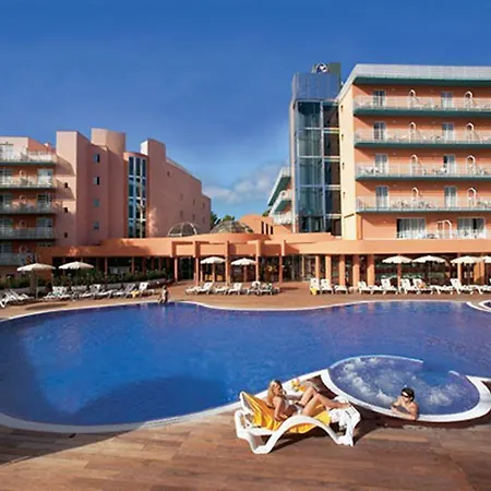 Palmira Paradise-3